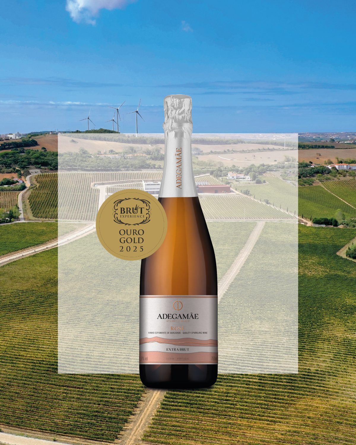 AdegaMãe Rose Extra Brut 2018
