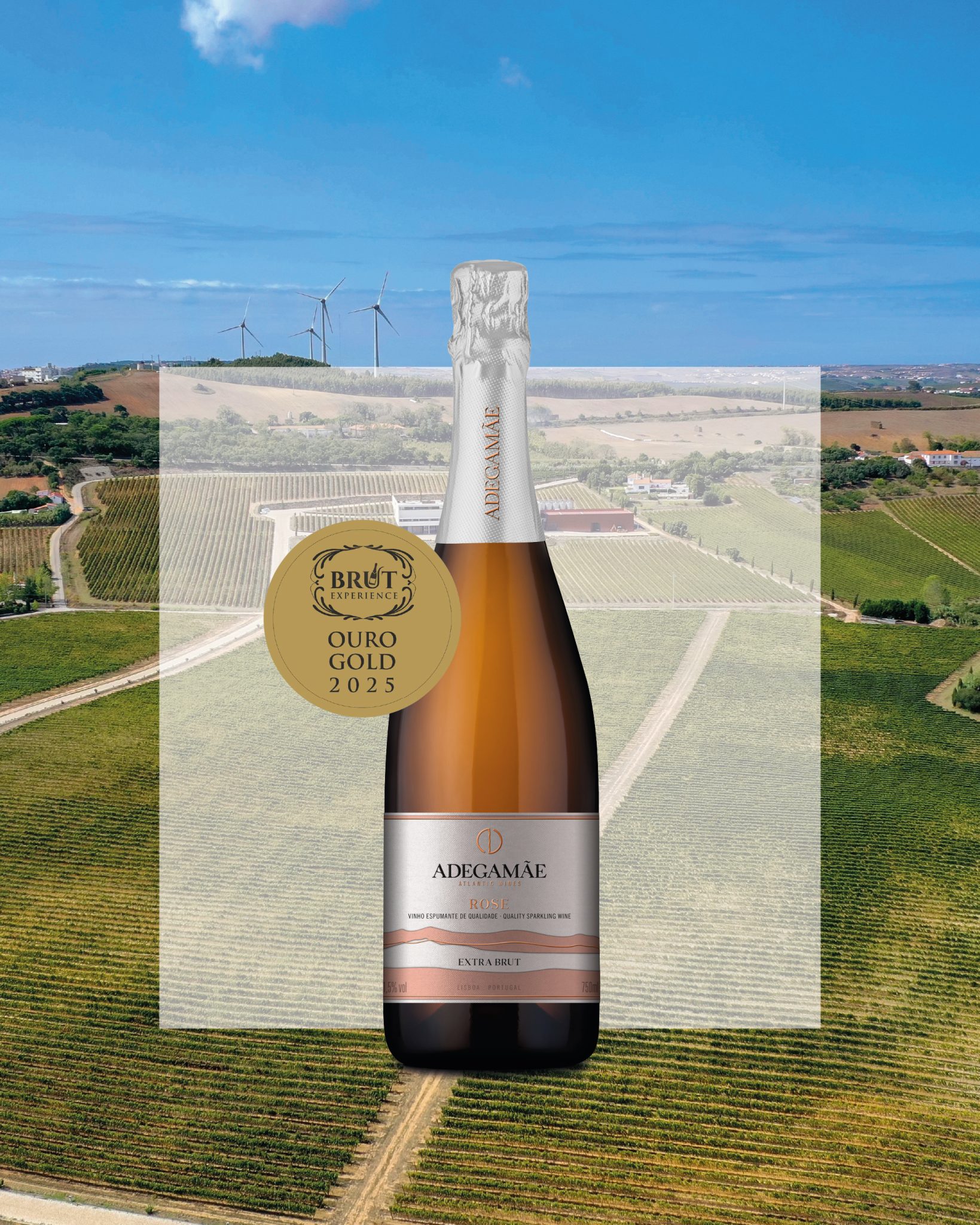 AdegaMãe Rose Extra Brut 2018