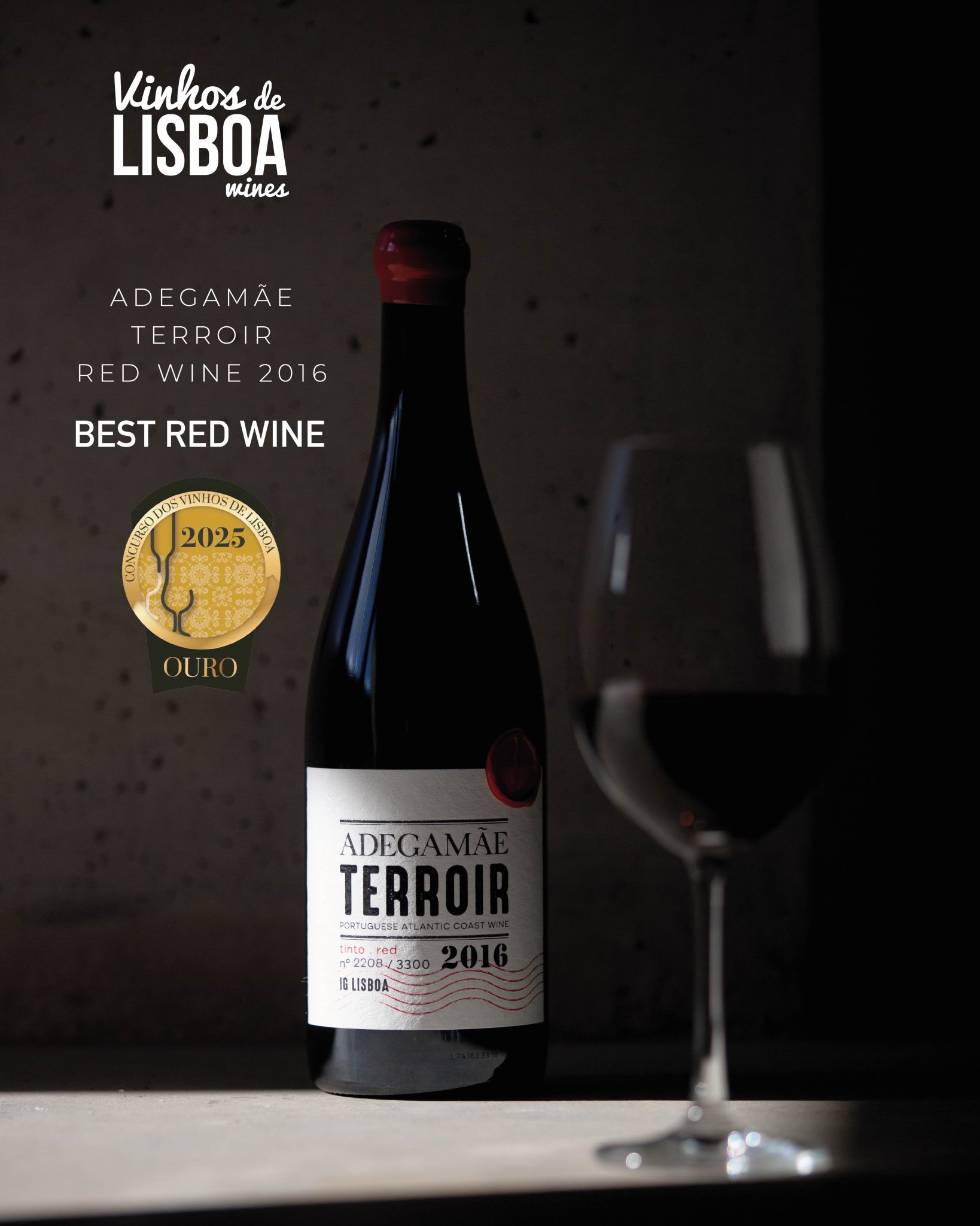 AdegaMãe Terroir Red 2016 - Best Red Wine 2025 Lisbon Wine Competition