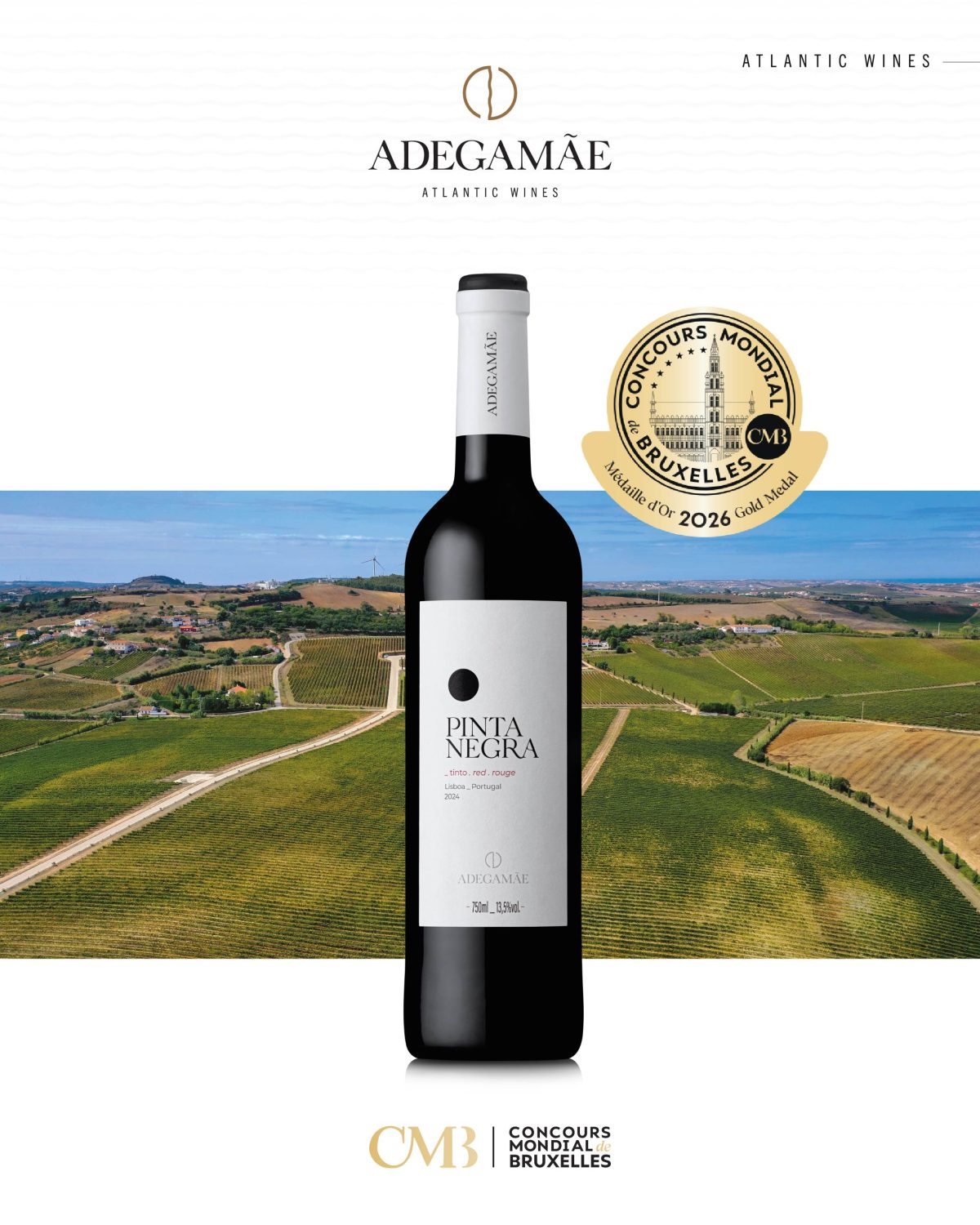 Concours Mondial de Bruxelles Pinta Negra Tinto Gold